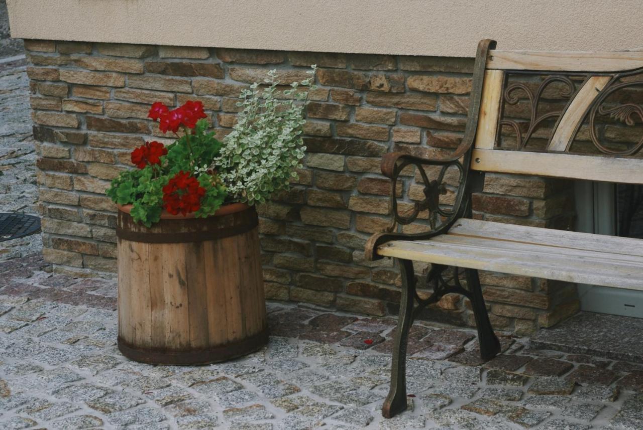 Apartamenty Agroturystyczne Papiernia Niedzwiedz Exterior foto